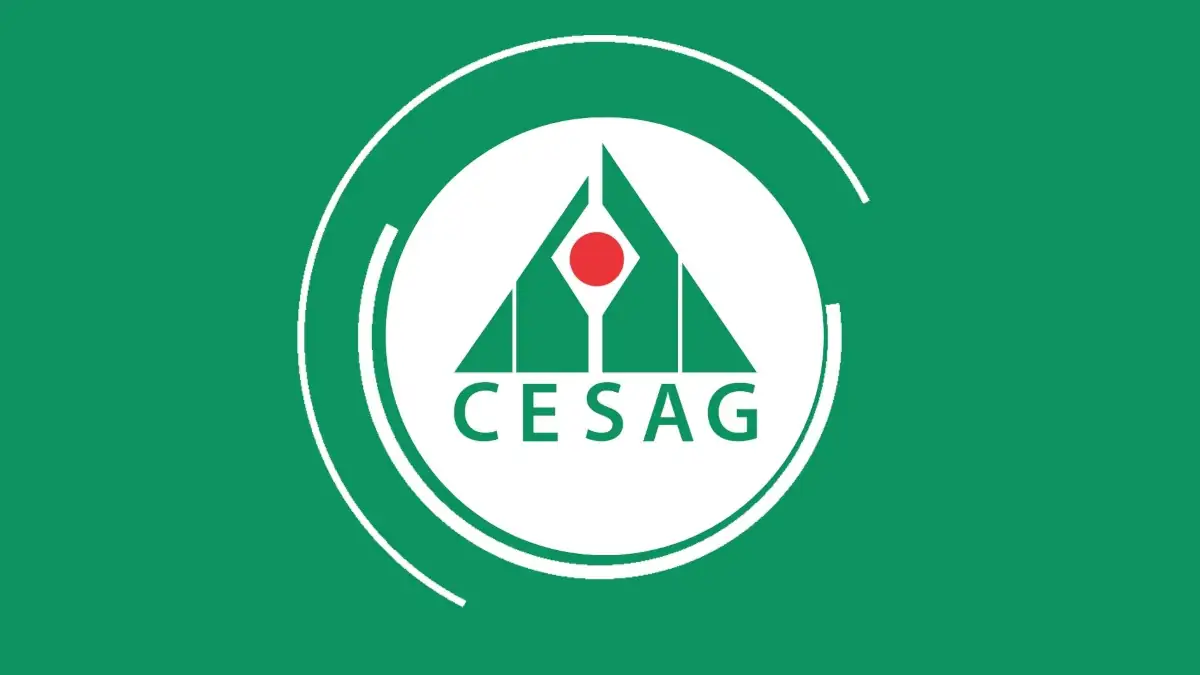 Centre Africain d'Études Supérieures en Gestion (niveau BAC)